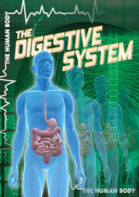 Digestive System
