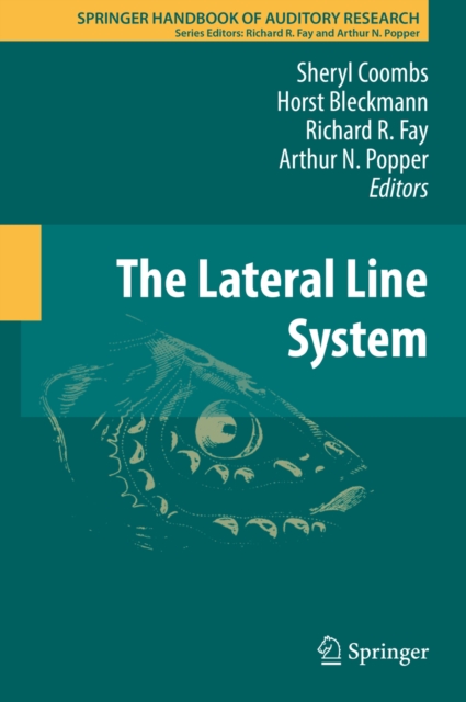 Lateral Line System