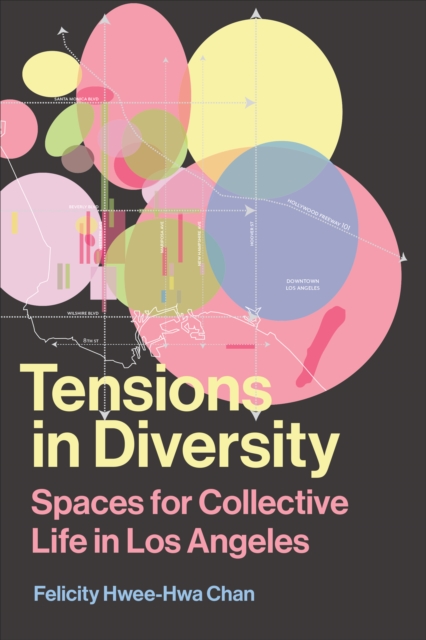Tensions in Diversity