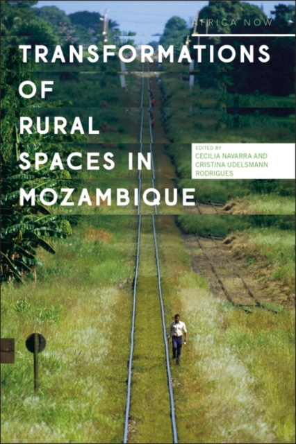 Transformations of Rural Spaces in Mozambique