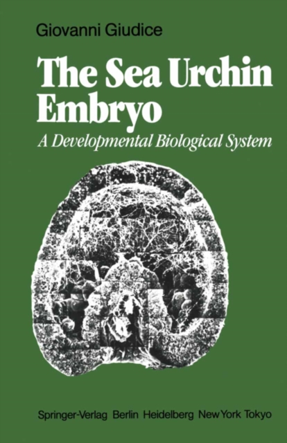 Sea Urchin Embryo