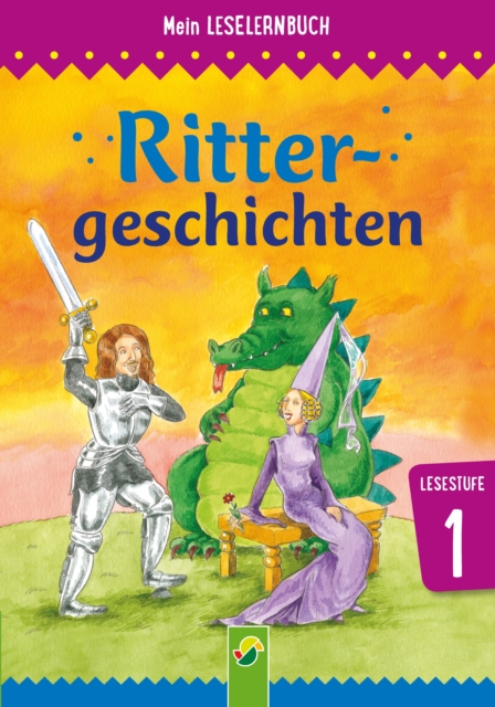 Meine große Leselernbox: Rittergeschichten, Fußballgeschichten, Polizeigeschichten