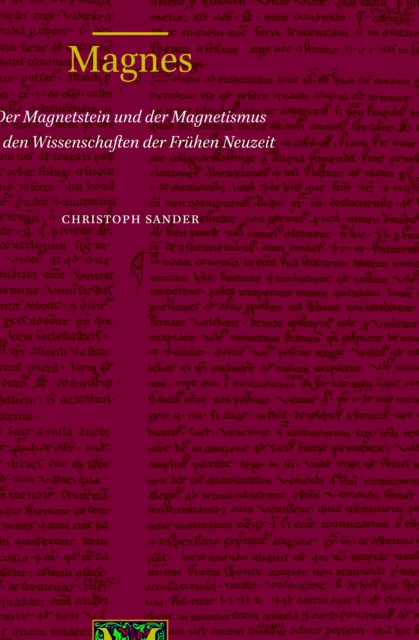 Magnes: Der Magnetstein und der Magnetismus in den Wissenschaften der Fruhen Neuzeit