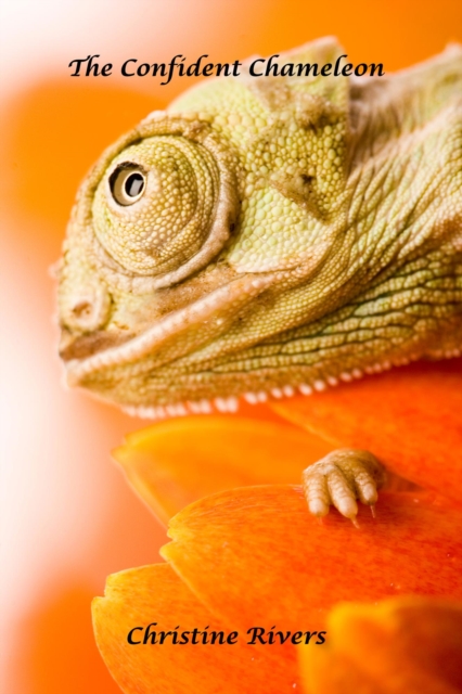 Confident Chameleon