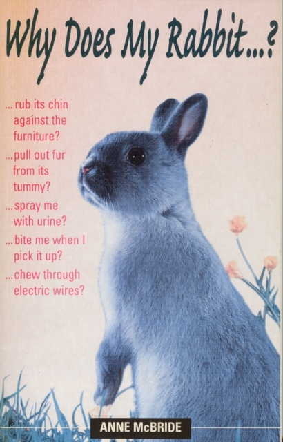 Why Does My Rabbit...?