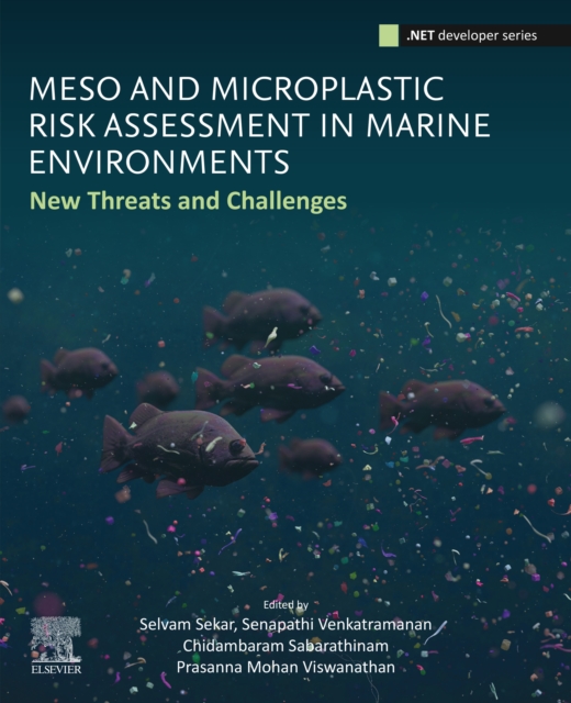 Meso and Microplastic Risk Assessment in Marine Environments