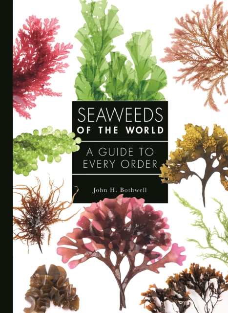Bees of the World