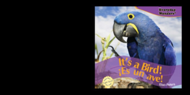 It's a Bird! / !Es un ave!