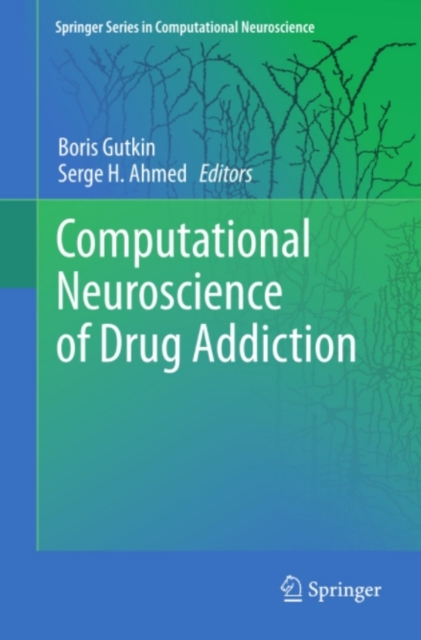 Computational Neuroscience of Drug Addiction