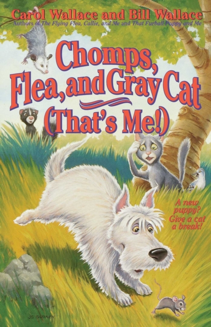 Chomps, Flea, and Gray Cat (That's Me!)