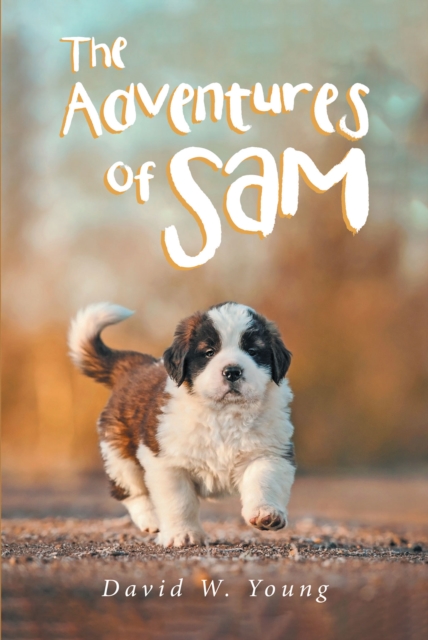 Adventures of Sam