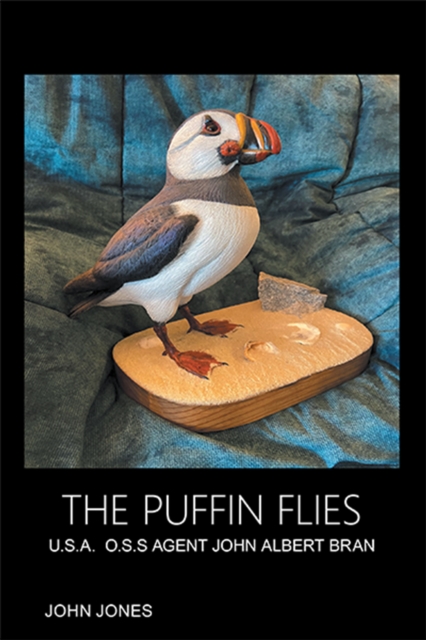 Puffin Flies