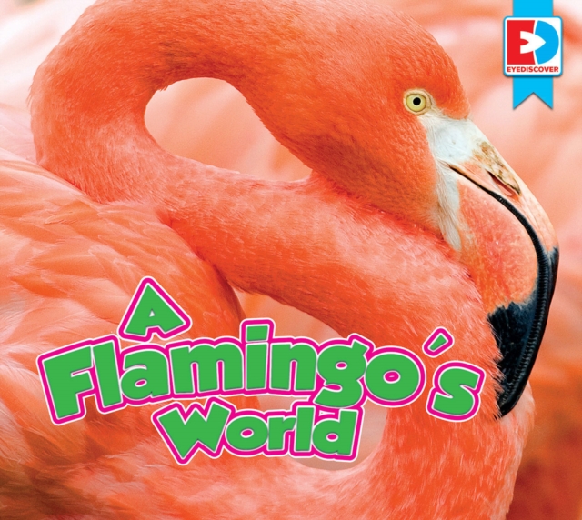 Flamingo's World