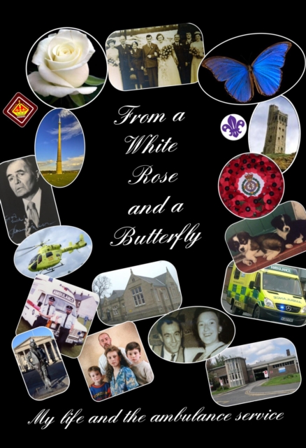 From a White Rose and a Butterfly