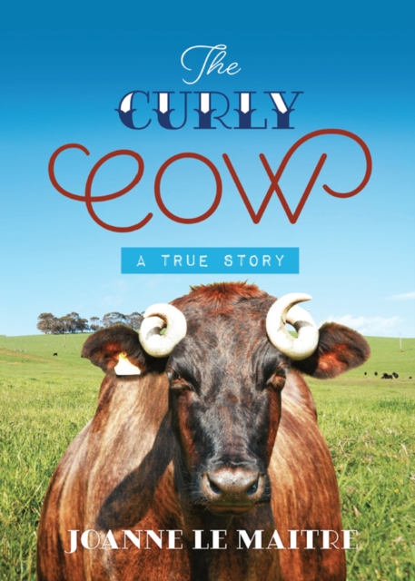 Curly Cow