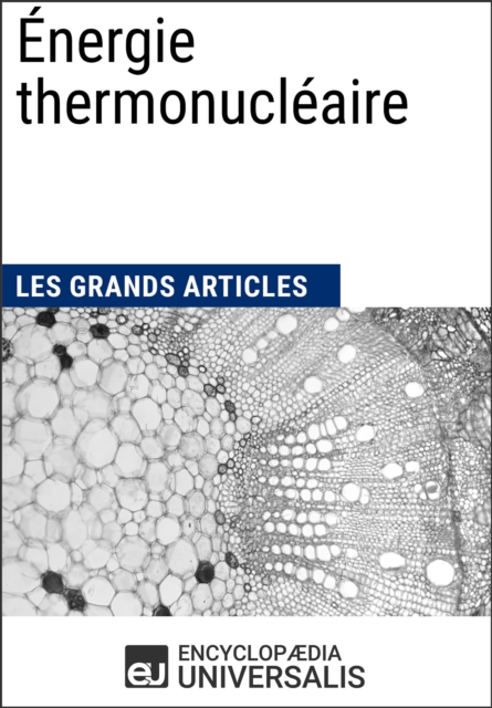 Energie thermonucleaire