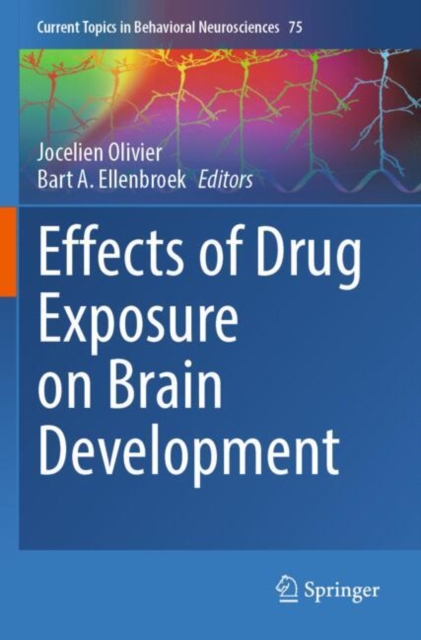 Effects of Drug Exposure on Brain Development