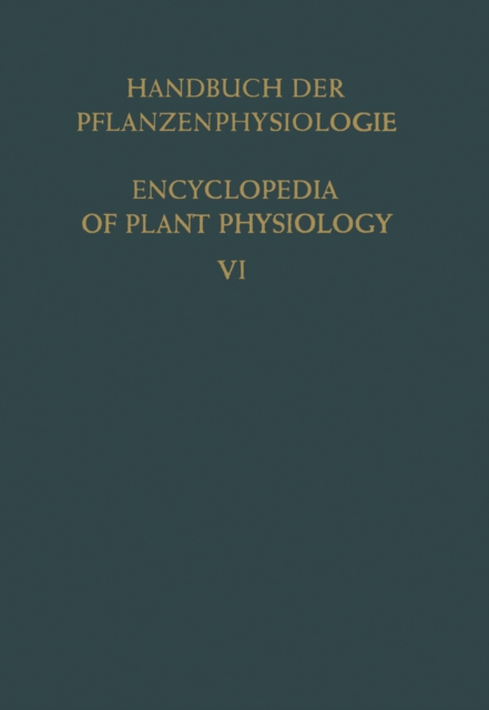 Aufbau · Speicherung · Mobilisierung und Umbildung der Kohlenhydrate / Formation · Storage · Mobilization and Transformation of Carbohydrates