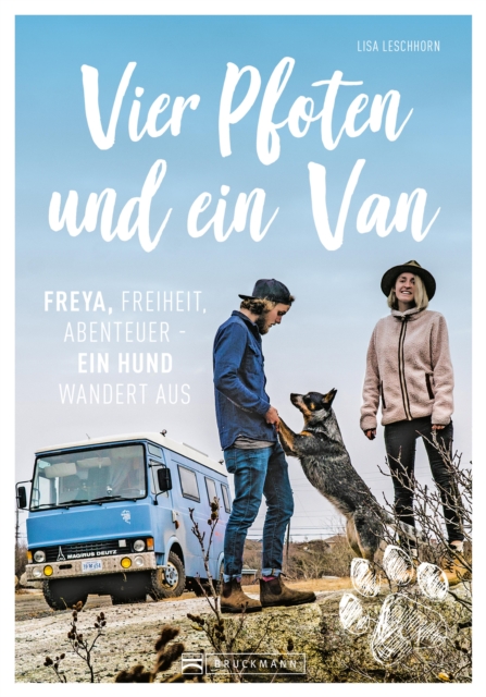 Vier Pfoten und ein Van