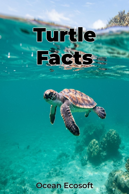 Turtle Facts