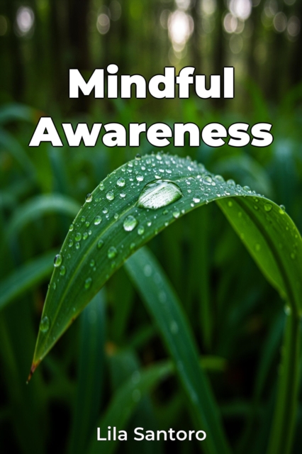 Mindful Awareness