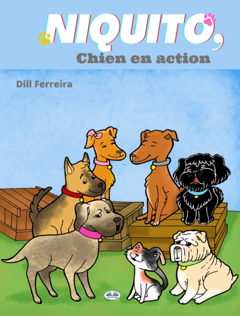 Niquito, Chien En Action.