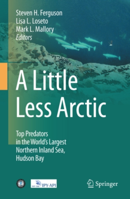 Little Less Arctic