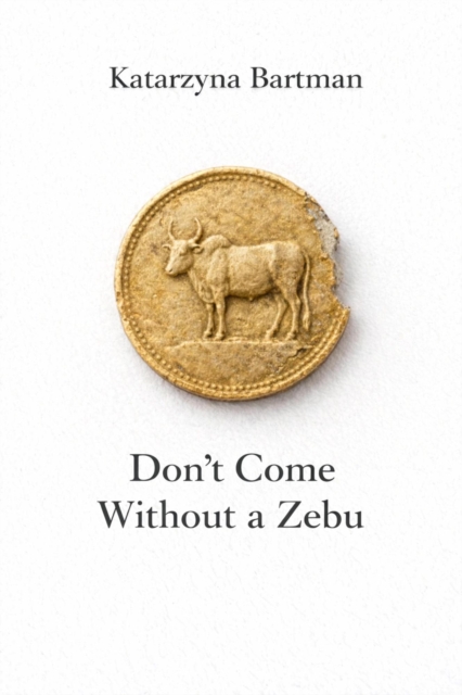 Don't Come Without a Zebu