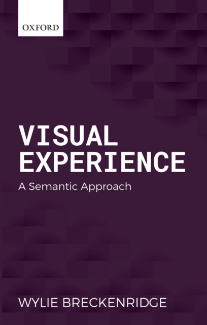 Visual Experience