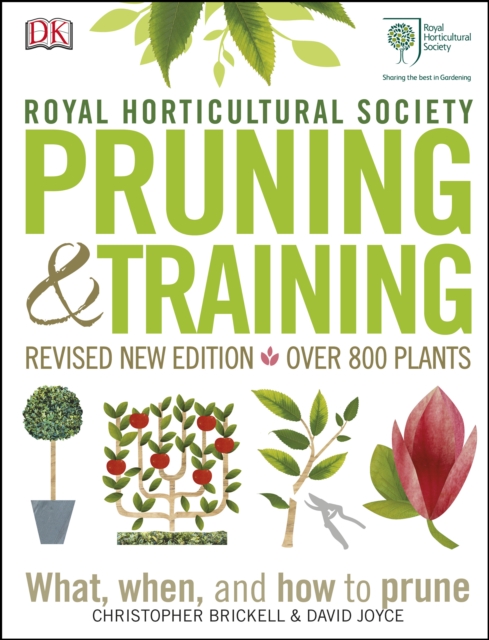 RHS Pruning and Training