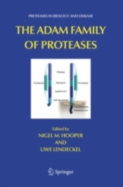 ADAM Family of Proteases