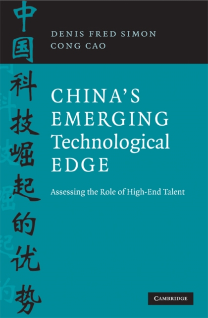 Emerging Multinationals in Emerging Markets