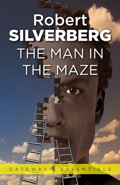 Man In The Maze