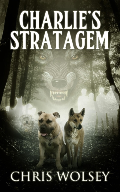 Charlie's Stratagem