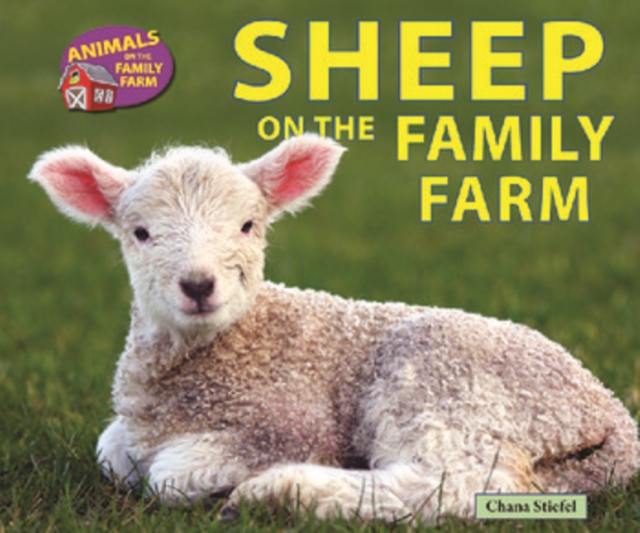 Sheep on the Family Farm