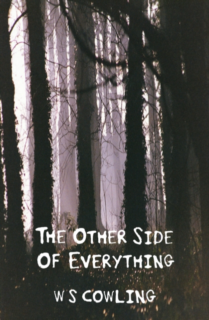 Other Side of Everything: A Collection of Twisted Yarns