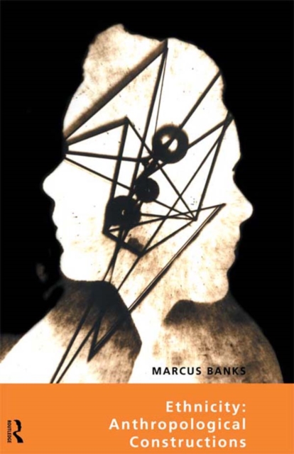 Evolutionary Interpretations of World Politics
