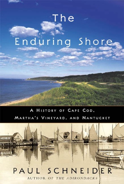Enduring Shore