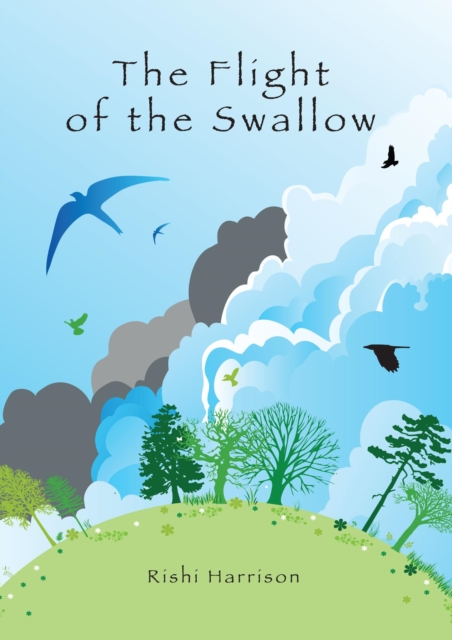 Flight of the Swallow