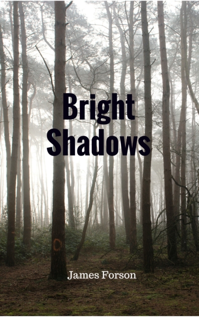 Bright Shadows