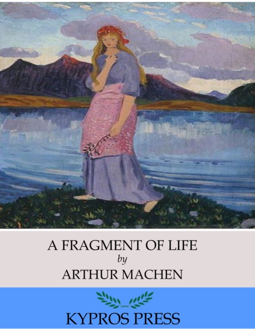 Fragment of Life