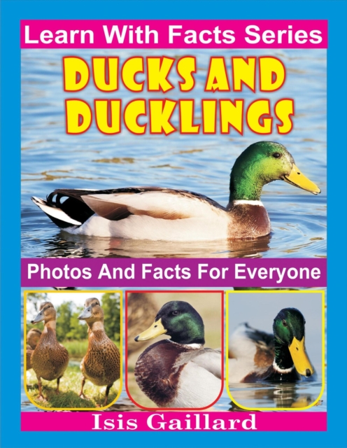 Ducks and Ducklings Photos and Facts for Everyone