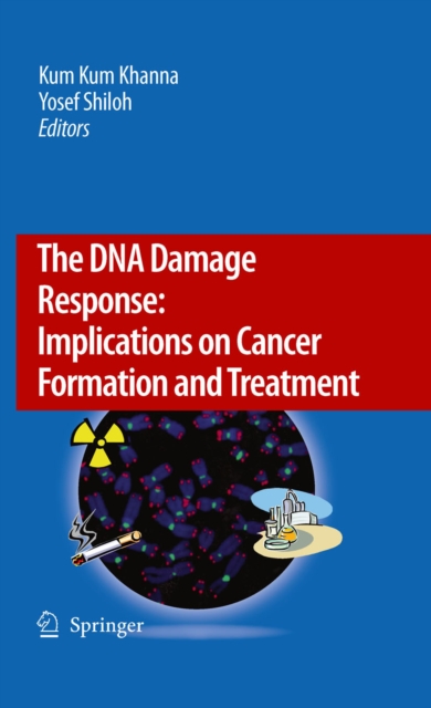 DNA Damage Response: Implications on Cancer Formation and Treatment