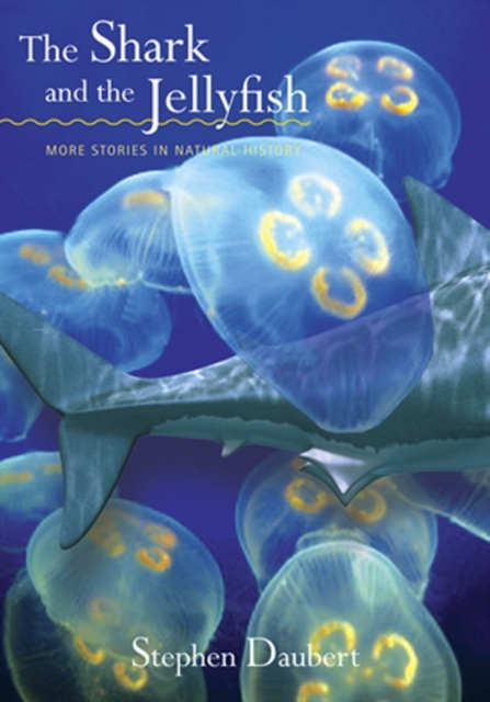 Shark and the Jellyfish
