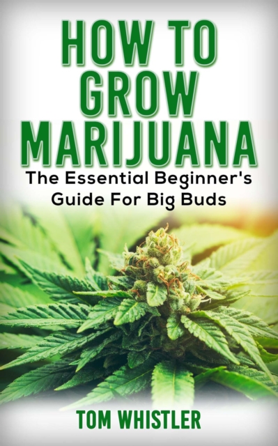 How to Grow Marijuana : The Essential Beginner's Guide for Big Buds