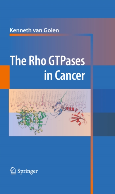 Rho GTPases in Cancer