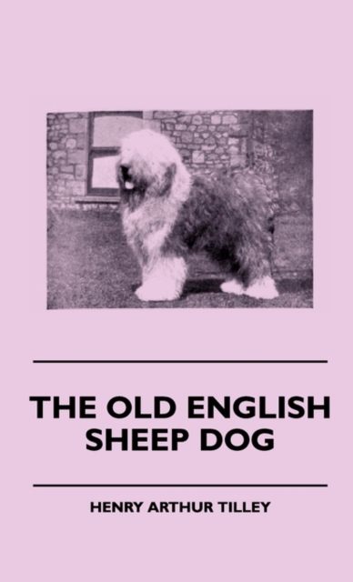 Old English Sheep Dog