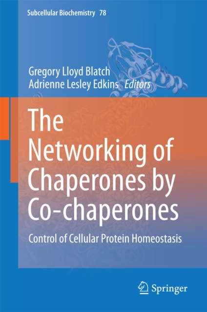 Networking of Chaperones by Co-chaperones