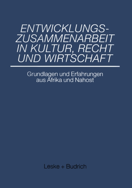 Entwicklungszusammenarbeit in Kultur, Recht und Wirtschaft
