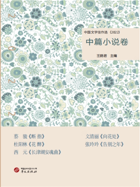 中国文学佳作选·中篇小说卷(2022)